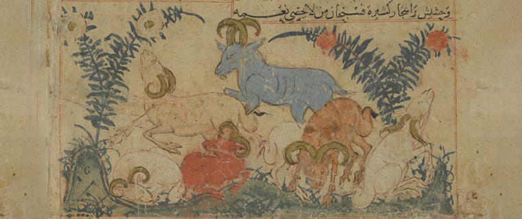 image of animals from Qazweeni's book