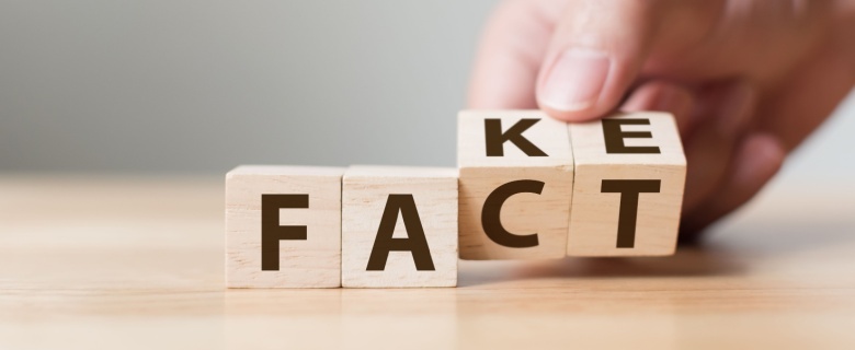 Digital Truth Seekers: Empowering Youth to Spot Fake News and Images