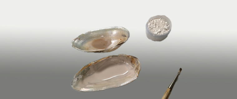 Pigment-making demonstration with Ajay Sharma