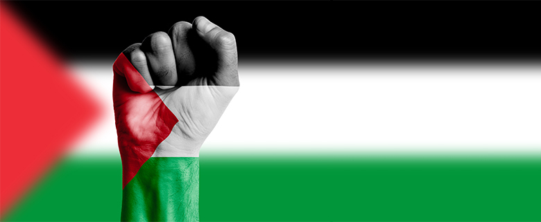 Raising Palestine: A Teacher-Led Talk for Parents