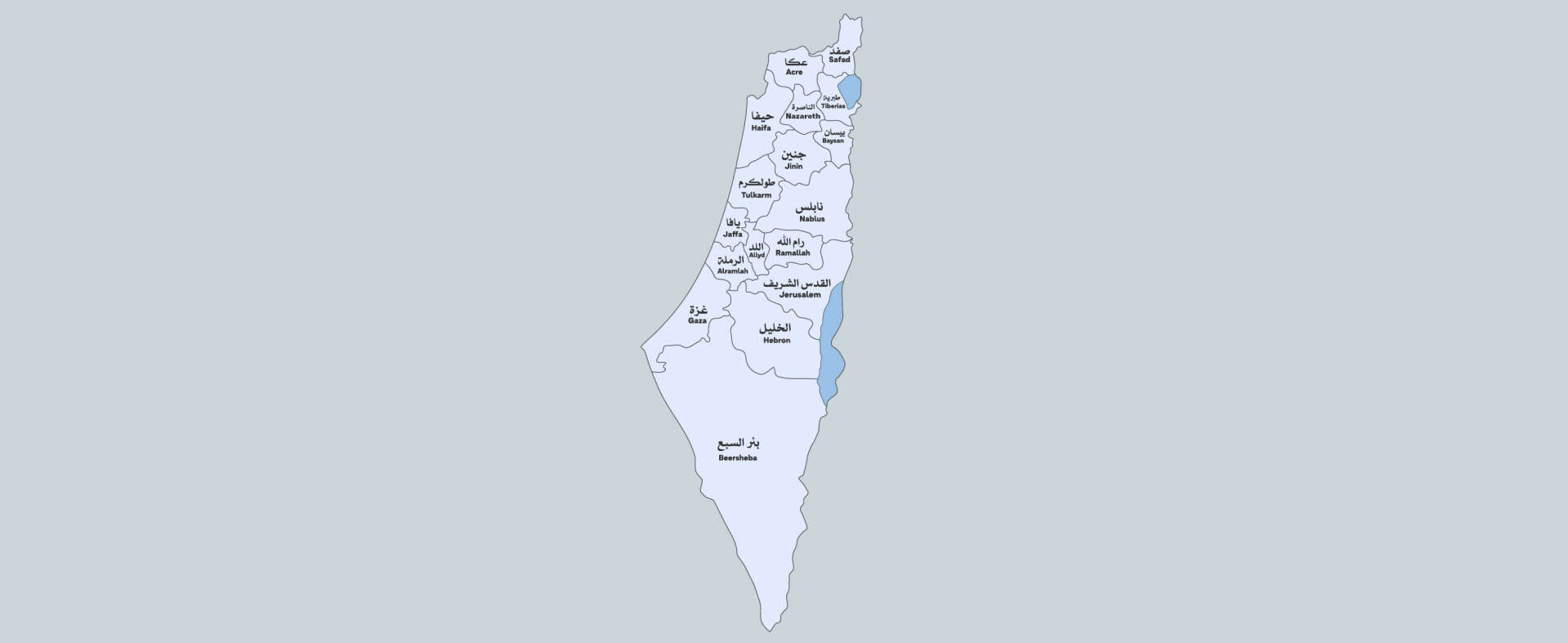 Palestine in our Hearts