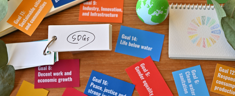 Fostering Change: MENA Region Libraries and the Sustainable Development Goals (SDGs)