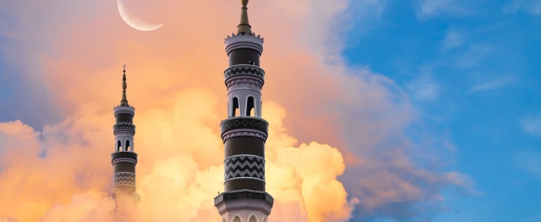 Sayahdeen (He Will Guide Me): Quranic Stories - The Story of the Elephant