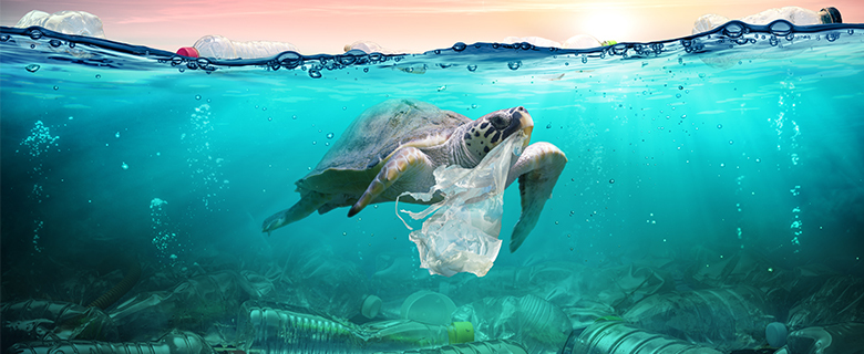 Starting Your Sustainability Journey in Qatar