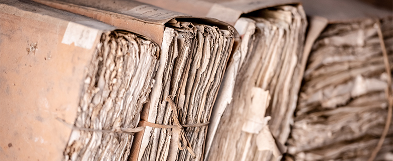 Training Course in Archive Management at Cultural Institutions