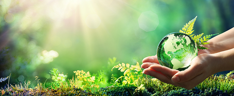 Panel Discussion: Qatari Youths' Response to Environmental Issues