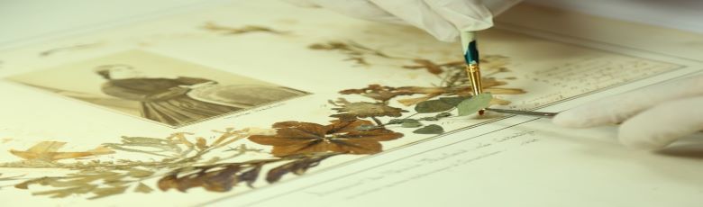 Introduction to Heritage Collection Care