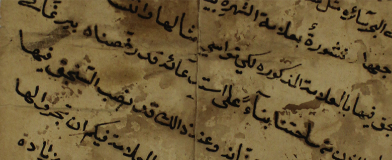 Preserving Documentary Heritage Written in Iron Ink