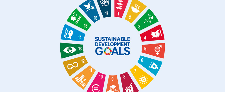 THIMUN Qatar: Sustainable Development Goals Service Projects