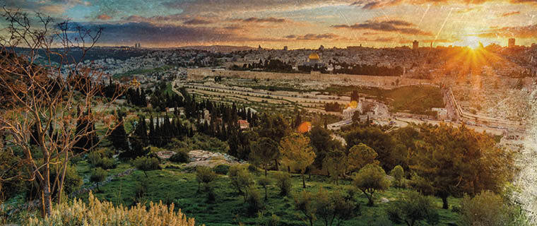 A Journey to Jerusalem Through the Library's Collection