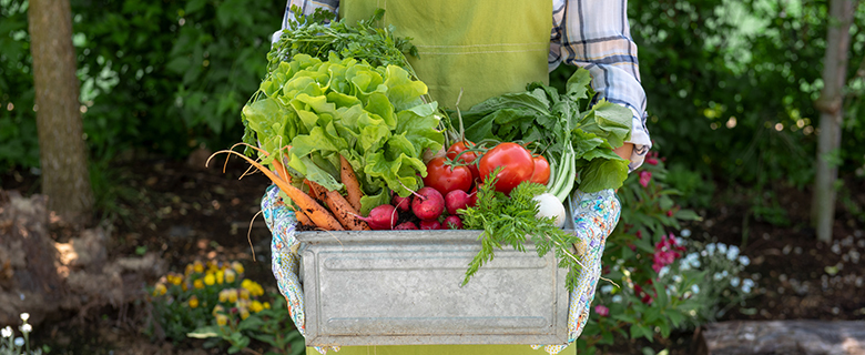Ladies, Go Beyond Organic: Let’s Talk About Sustainable Gardening!