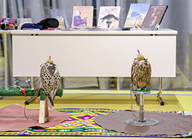 Importance of Falconry in Qatari Culture Highlighted at Qatar National Library