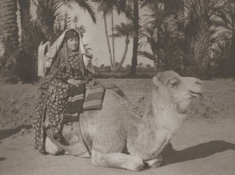 Algerian woman on a camel